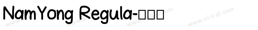 NamYong Regula字体转换